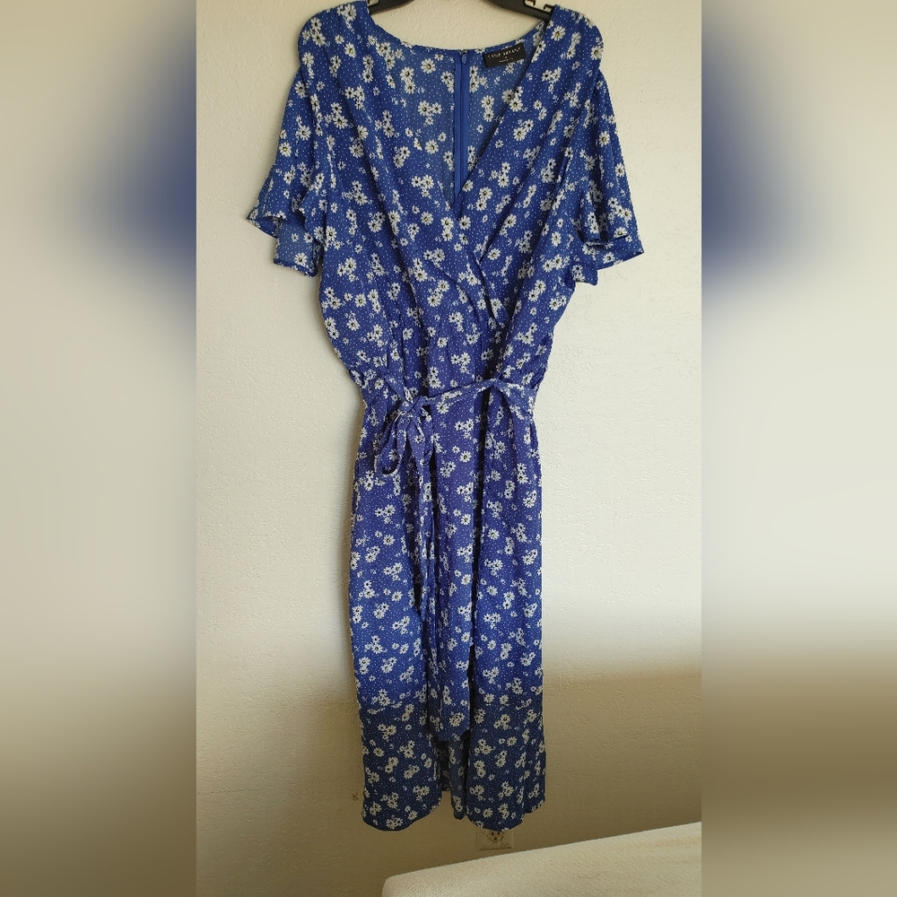 Women's Plus Blue Daisy Dress with Pockets